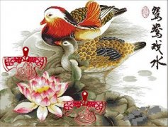 鴛鴦刺繡圖